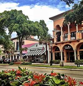 Las-Olas-Boulevard image