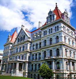 The-New-York-State-Capitol image