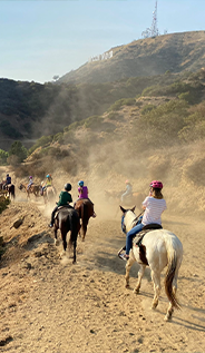 Sunset-Ranch-Hollywood-Stables image