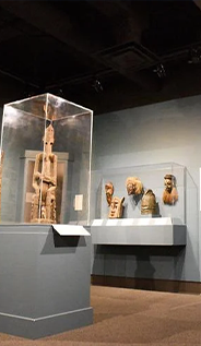 Museum-of-Art-and-Archaeology image