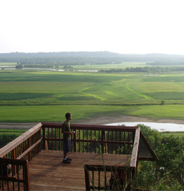 Eagle-Bluffs-Conservation-Area image