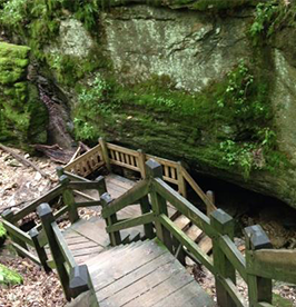 Rock-Bridge-Memorial-State-Park image