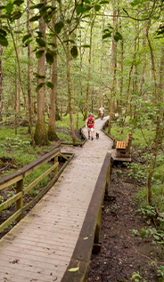 Congaree-National-Park image