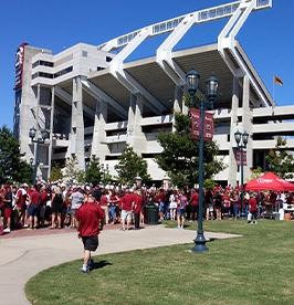 Williams-Brice-Stadium image