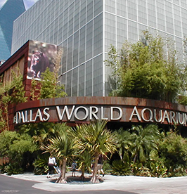 The-Dallas-World-Aquarium image