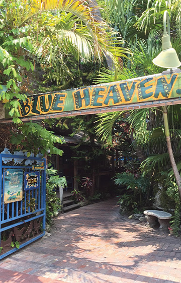 Blue-Heaven image