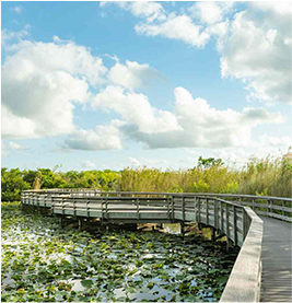 Everglades-National-Park image