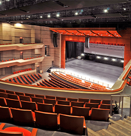 Wagner Noel Performing Arts Center image