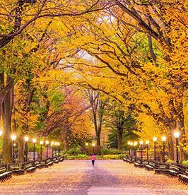 Central-Park image