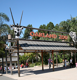 Oakland-Zoo image