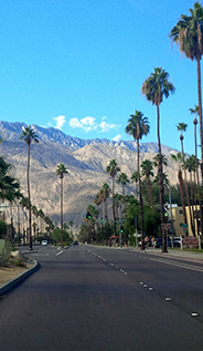 Palm-Canyon-Drive image