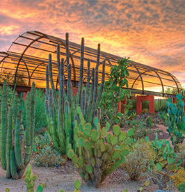 Desert-Botanical-Garden image