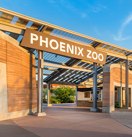 Phoenix-Zoo image