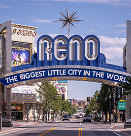 The-Reno-Arch image