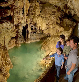 Natural-Bridge-Caverns image