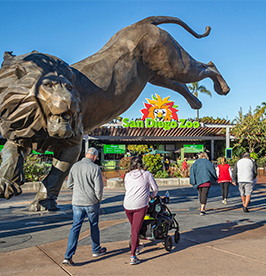 San-Diego-Zoo image