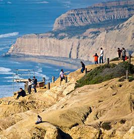 Torrey-Pines-State-Natural-Reserve image