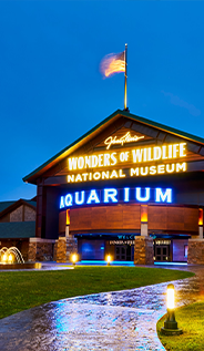 Johnny Morris'-Wonders-of-Wildlife-National-Museum-and-Aquarium image