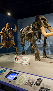 Illinois-State-Museum image