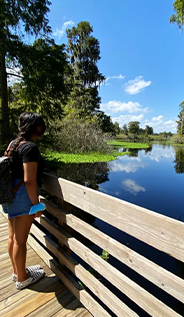 Adventure-Lettuce-Lake-Park image