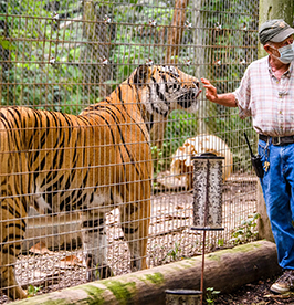 Big-Cat-Rescue image