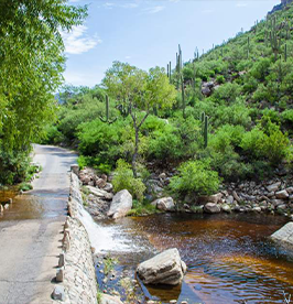 Sabino Canyon image