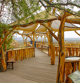 The-Arizona-Sonora-Desert-Museum image